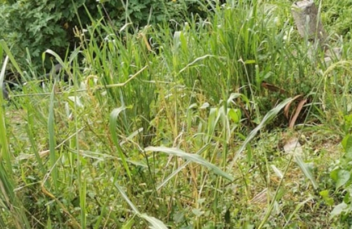 Vente Terrain 508m&sup2; Fort de france