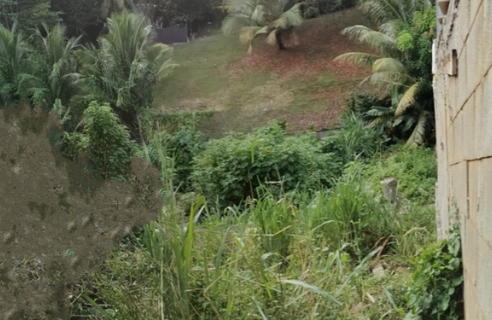 Vente Terrain 508m&sup2; Fort de france