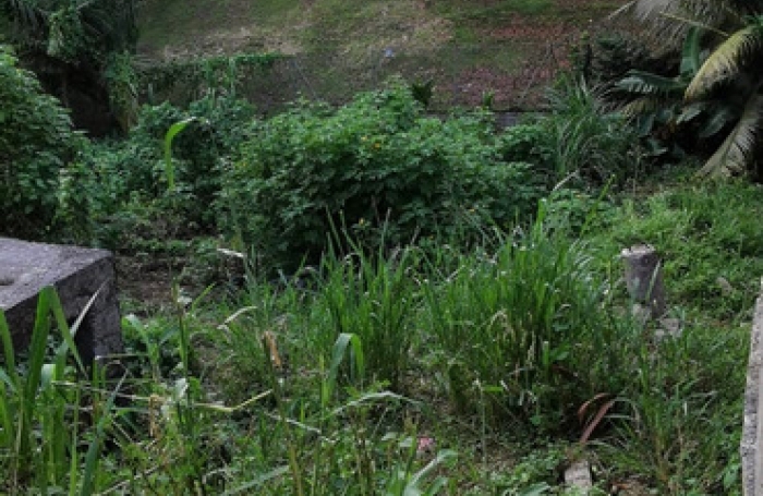 Vente Terrain 508m&sup2; Fort de france