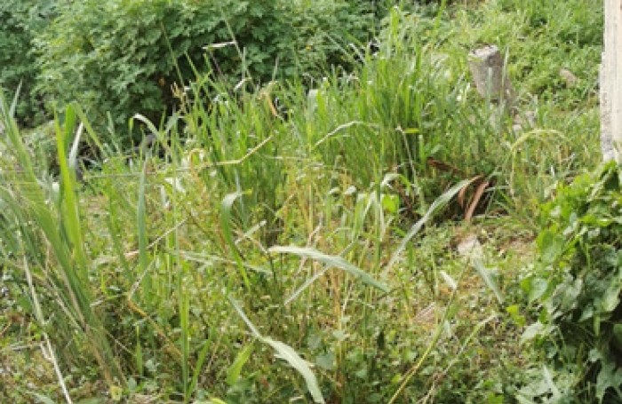 Vente Terrain 508m&sup2; Fort de france