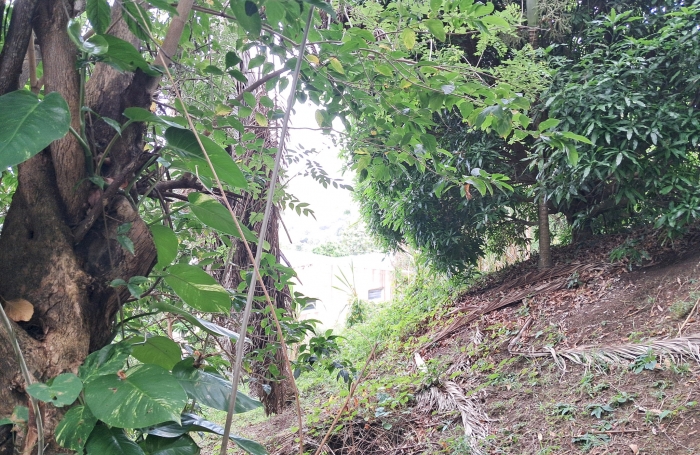 MARIN Parcelle 737m2