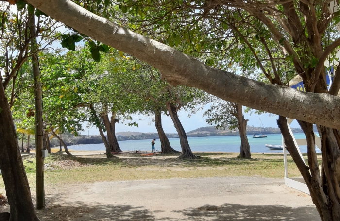 &nbsp;Sur la plage...parcelle de 468 m2 &agrave; la Pointe FAULA
