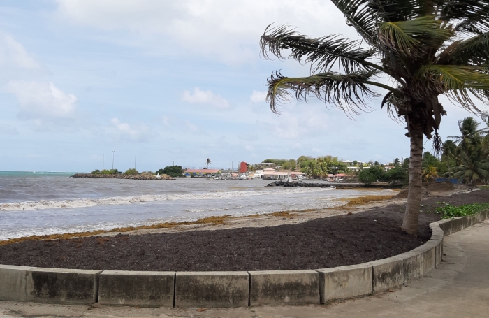 &nbsp;Sur la plage...parcelle de 468 m2 &agrave; la Pointe FAULA