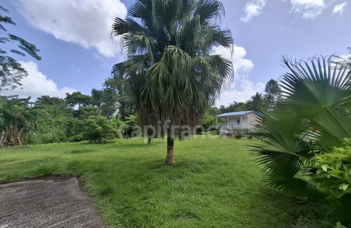 Vente Immeuble 334m&sup2; 17 pièces Les Trois Ilets