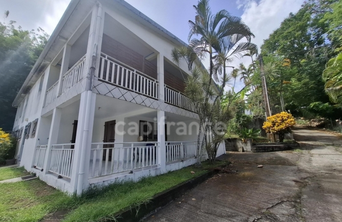 Vente Immeuble 334m&sup2; 17 pièces Les Trois Ilets
