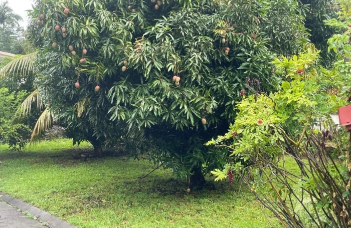 Location Maison 102m&sup2; 4 pièces Fort de france