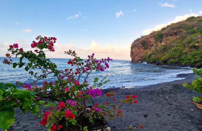 À vendre : Appartement T3   Nord Caraïbe, à deux pas de la plage