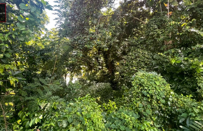 Terrain de 2 016 m2 en vente &agrave; Trinit&eacute;