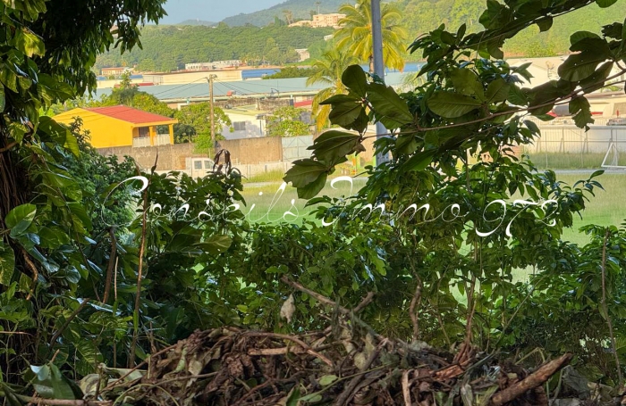 Terrain de 1 194 m2 en vente &agrave; Trinit&eacute;