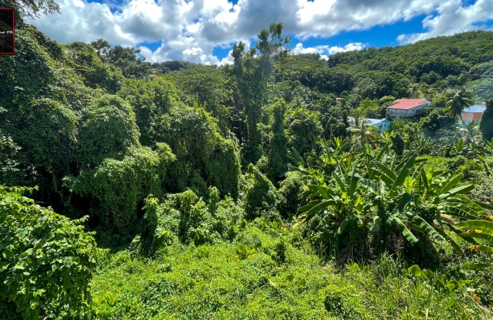 Terrain de 1 194 m2 en vente &agrave; Trinit&eacute;