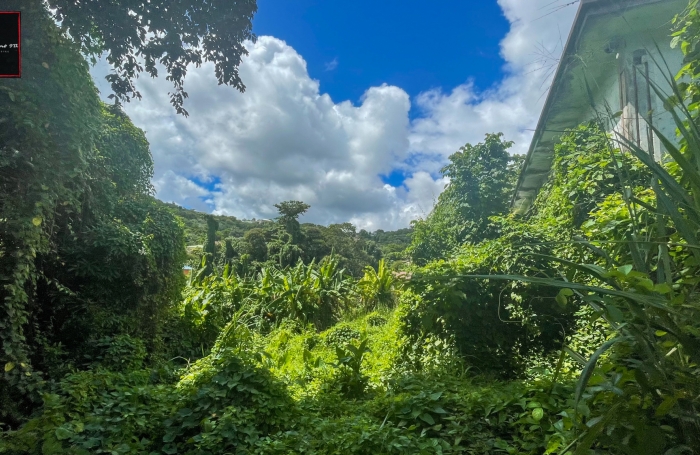 Terrain de 1 194 m2 en vente &agrave; Trinit&eacute;