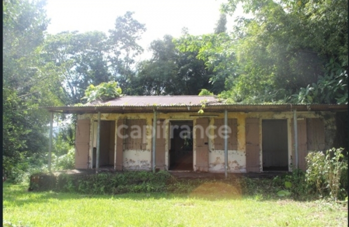 Vente Terrain 6130m&sup2; L'Ajoupa Bouillon