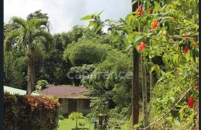 Vente Terrain 6130m&sup2; L'Ajoupa Bouillon