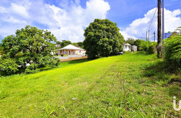 Vente Terrain 1013m&sup2; Schoelcher