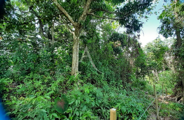 Vente Terrain 1082m² Ducos