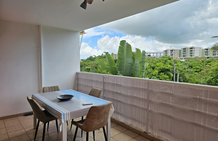 LUMINEUX T2 AVEC CAVE ET PARKING