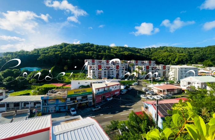 Vente Immeuble 97290