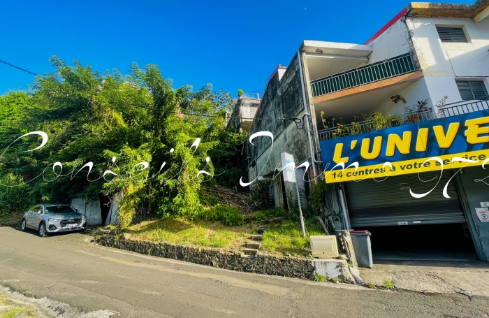 À Vendre   Ensemble Immobilier à réinventer   Bourg du Marin