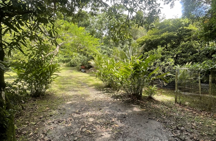 Vente Maison 68m&sup2; 3 pièces Rivi&egrave;re Pilote