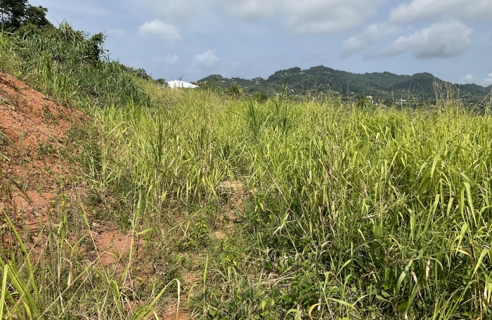Terrain à bâtir de 495.48 m2 - LE ROBERT