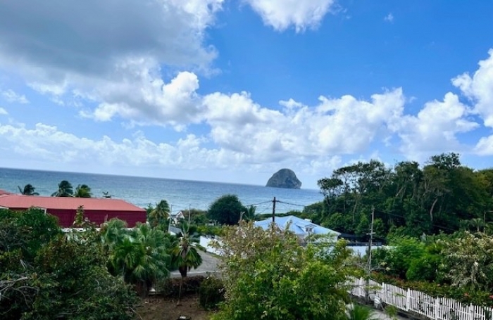 Vente Maison 354m&sup2; 8 pi&#232;ces Le Diamant