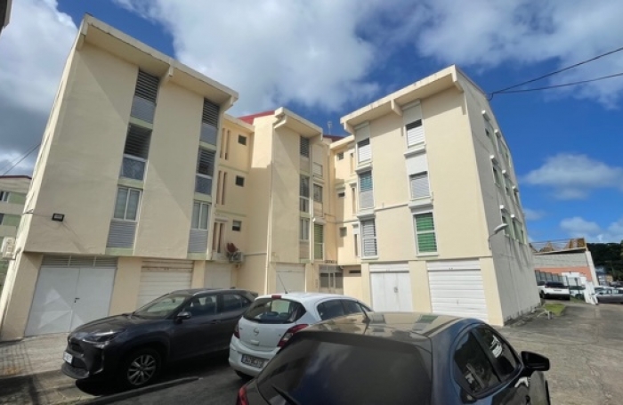 APPARTEMENT T4 AVEC UN LOCATAIRE EN PLACE  AU ROBERT