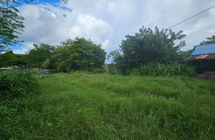 Vente Terrain 6200m&sup2; Les Trois Ilets