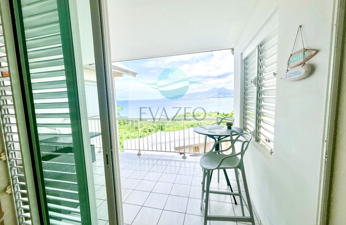 Appartement T2 de 37m2 + terrasse 12m2 TROIS ILETS