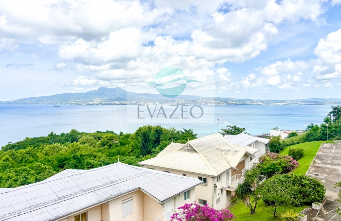 Appartement T2 de 37m2 + terrasse 12m2 TROIS ILETS