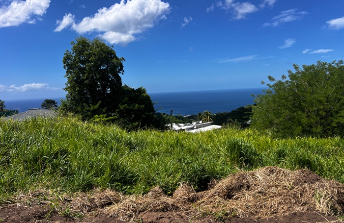 Vente Terrain 750m² Le Carbet