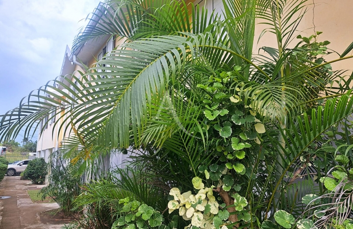 Vente Appartement 73.72m&sup2; 3 pi&egrave;ces Le Vauclin