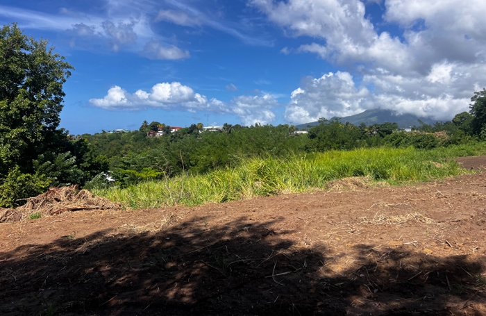 Vente Terrain 750m&sup2; Le Carbet