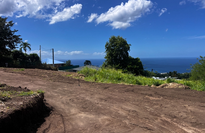 Vente Terrain 750m&sup2; Le Carbet