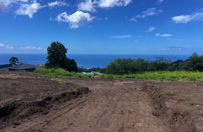 Vente Terrain 750m&sup2; Le Carbet