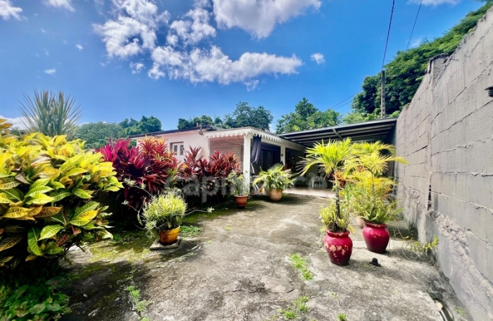 Vente Maison 239m&sup2; 9 pièces Le Morne Vert