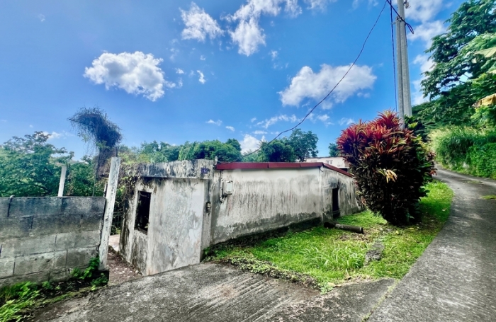 Vente Maison 239m&sup2; 9 pièces Le Morne Vert