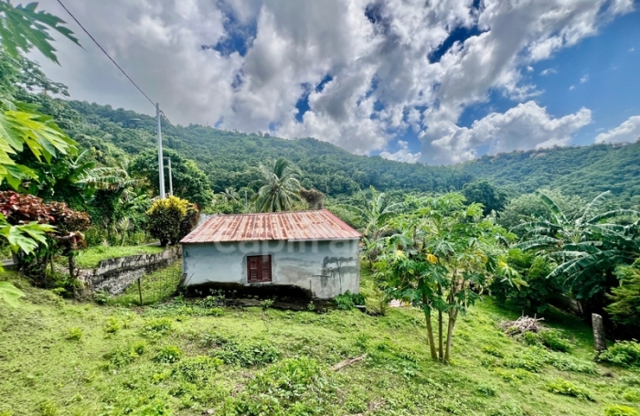 Vente Maison 239m&sup2; 9 pièces Le Morne Vert