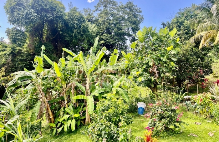 Vente Maison 239m&sup2; 9 pièces Le Morne Vert