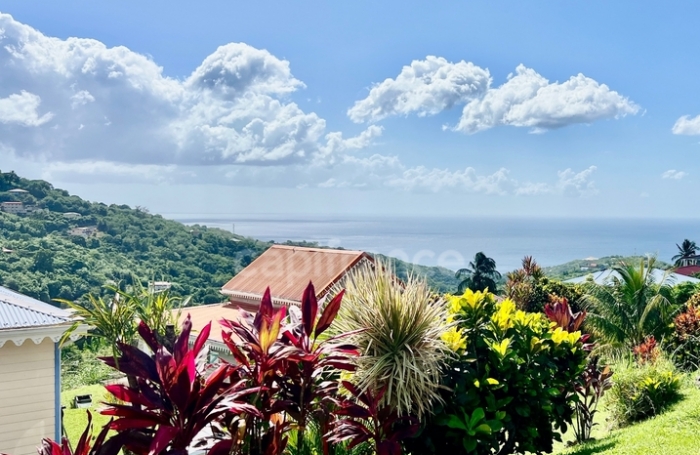 Vente Maison 239m&sup2; 9 pièces Le Morne Vert
