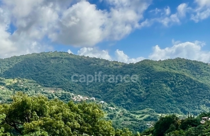 Vente Maison 239m&sup2; 9 pièces Le Morne Vert
