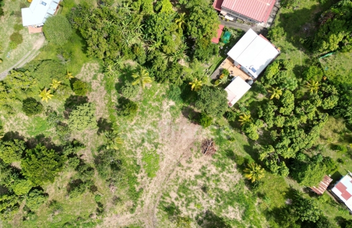 Vente Terrain 1060m&sup2; Le Carbet