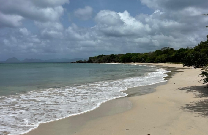 Vente Appartement 35m&sup2; 2 pièces Sainte Anne