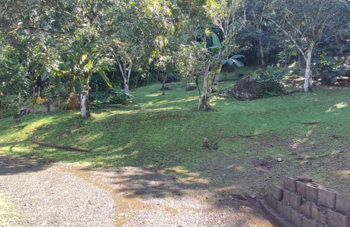 Haut de villa T5 meubl&eacute; ind&eacute;pendant avec piscine priv&eacute;e et grand terrain arbor&eacute;