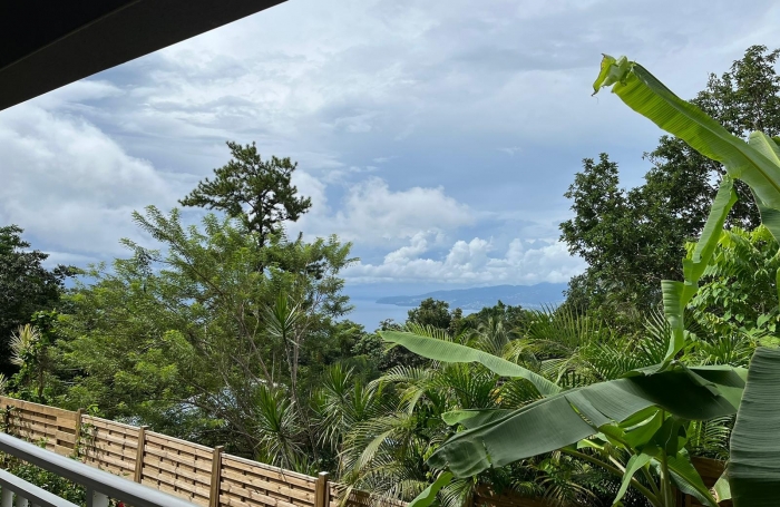 Haut de villa T5 meubl&eacute; ind&eacute;pendant avec piscine priv&eacute;e et grand terrain arbor&eacute;