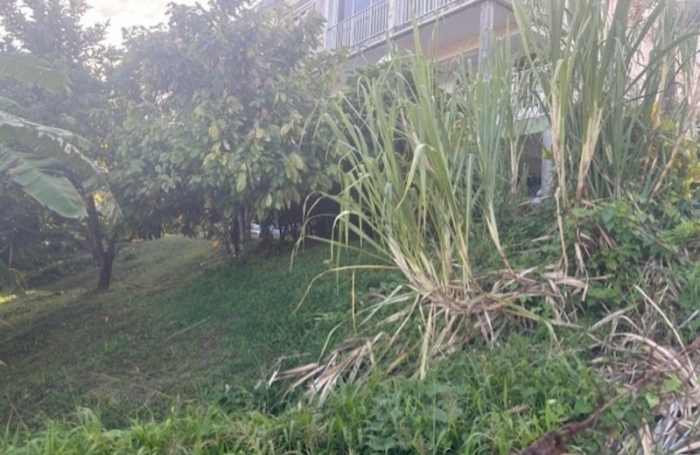 Vente Maison 272m&sup2; 5 pièces Le Fran&ccedil;ois