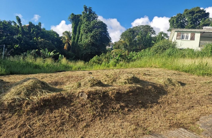 Vente Terrain 517m&sup2; Schoelcher