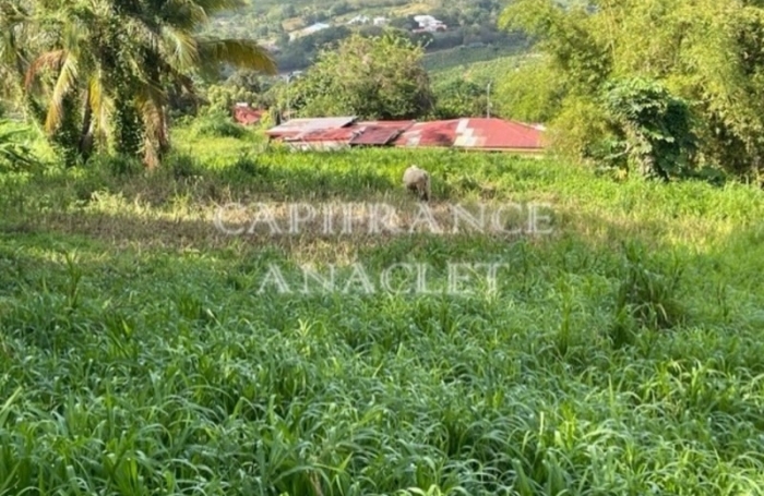 Vente Terrain 1187m&sup2; Le Lamentin