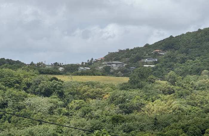 Vente Terrain 97290