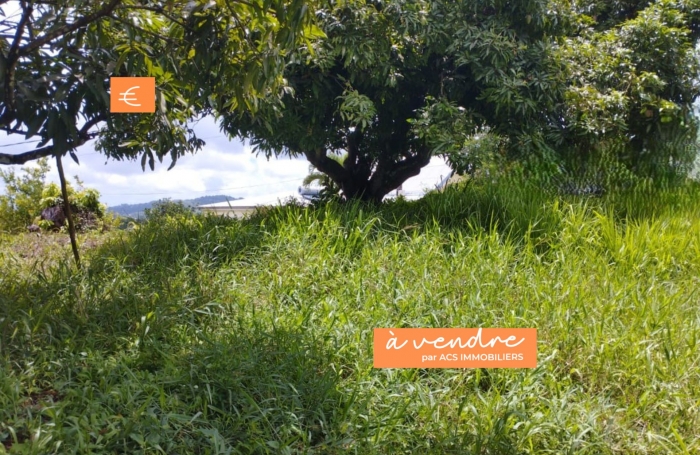 Vente Terrain 97215