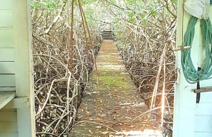 Vente Immeuble 957m&sup2; 22 pièces Le Vauclin